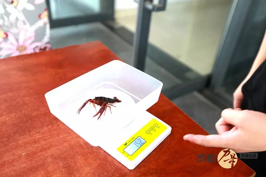 36岁被公司辞退,36岁被公司辞退怎么办