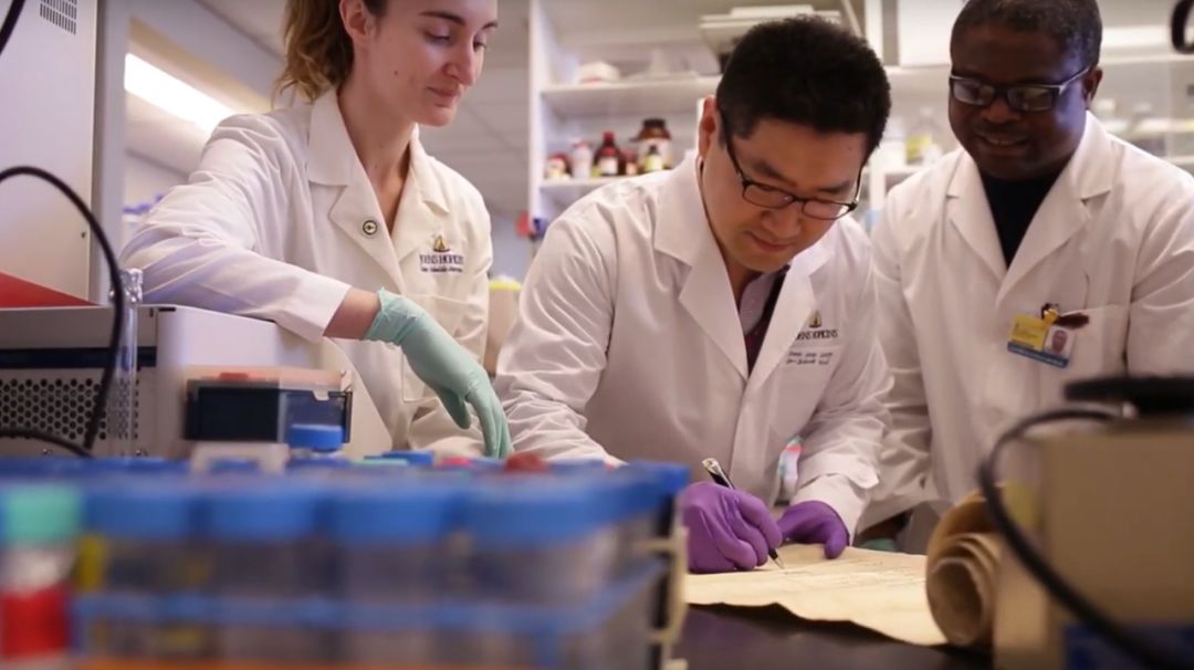 绾︾堪闇嶆櫘閲戞柉鍖婚櫌鎺掑悕,缇庡浗绾︾堪闇嶆櫘閲戞柉鍖婚櫌