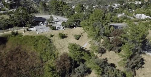 爱豆的父母都叫他们什么名字,爱豆的爸爸妈妈