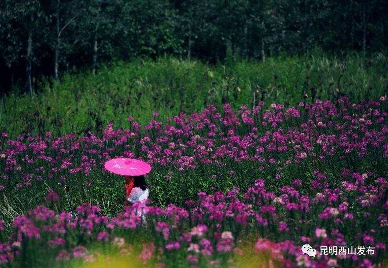 西山风景区怎么拍照好看,西山区怎么玩