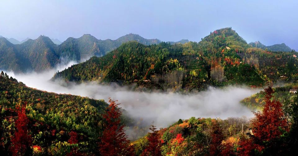 杜甫逃窜,杜甫入成都