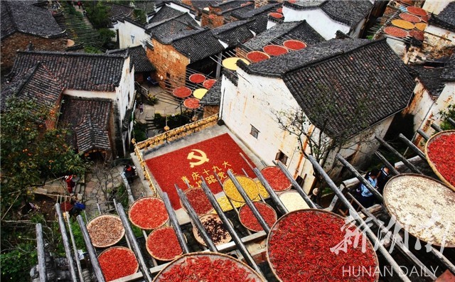 嘉禾县农村丰收节,2022嘉禾农民丰收节暨旅发大会