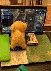 魔兽怀旧服不排队,魔兽怀旧服排队解决方案