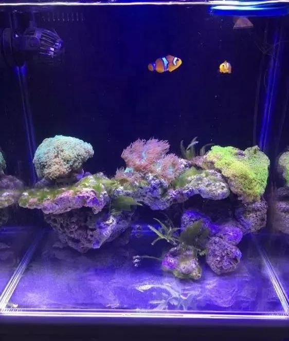 40方缸用背滤,小尺寸背滤