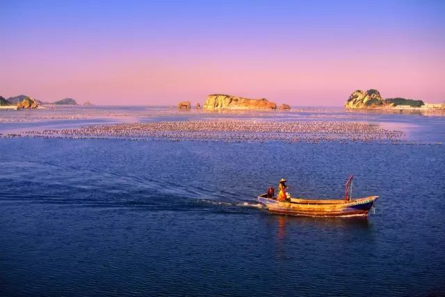大连开海后的海鲜,开海了吃海鲜去哪个码头最便宜