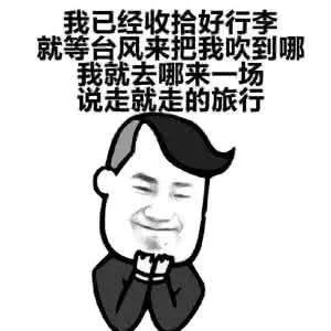 海南停航停运最新消息,停航停运最新消息海口