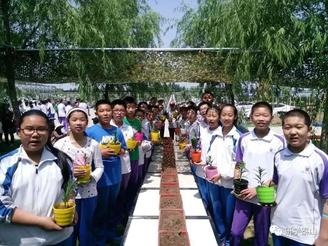 研学泰山,研学行万里探索知天下