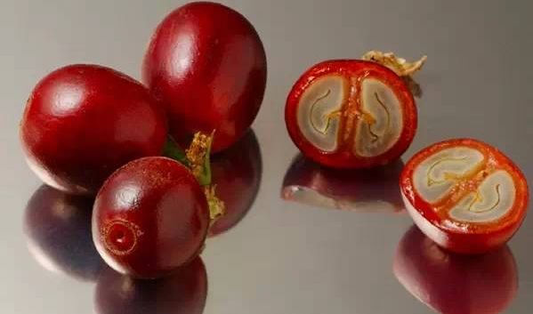 咖啡亲身体验制作过程,咖啡采摘方式及具体操作过程