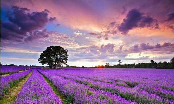 郑州适合情侣泡温泉私密的酒店,在郑州情侣适合去哪种地方游玩