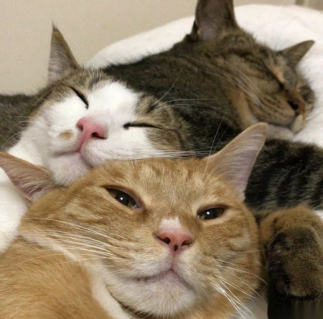 编辑部翻包|90—00的编辑们到底在用什么美妆好物?(一)(文末有福利)