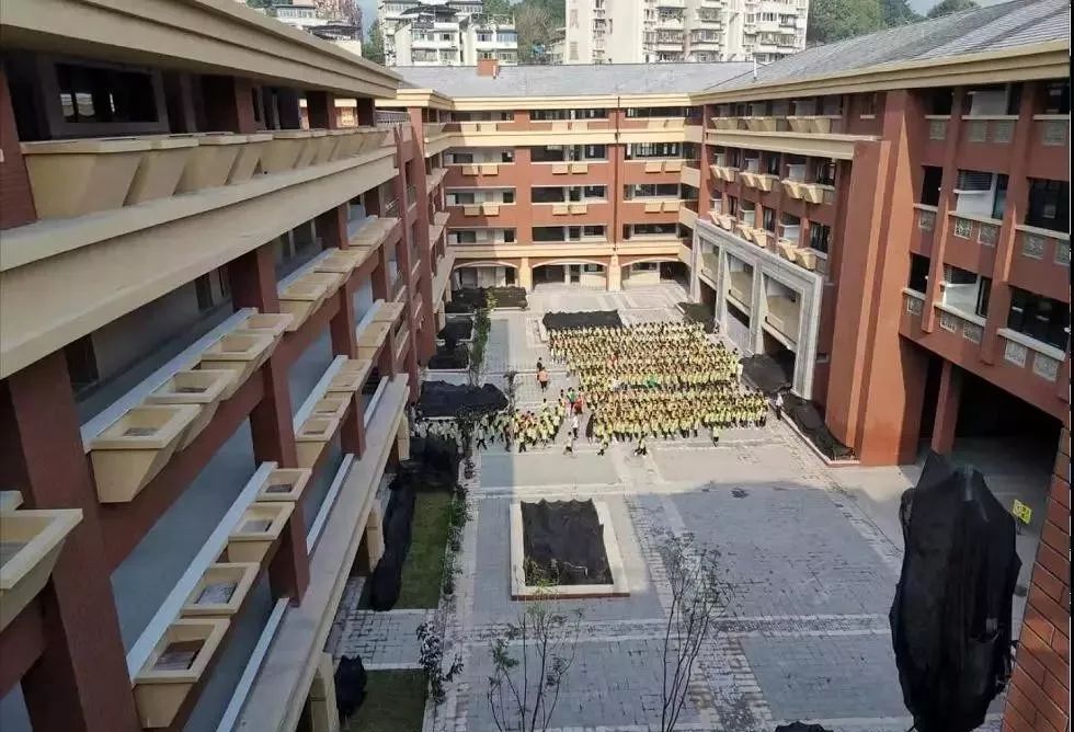 沙坪坝教育学校,沙坪坝最新建学校消息