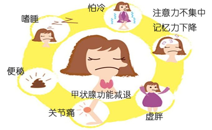 进言献策|免疫检查点*制剂抑**之内分泌不良反应