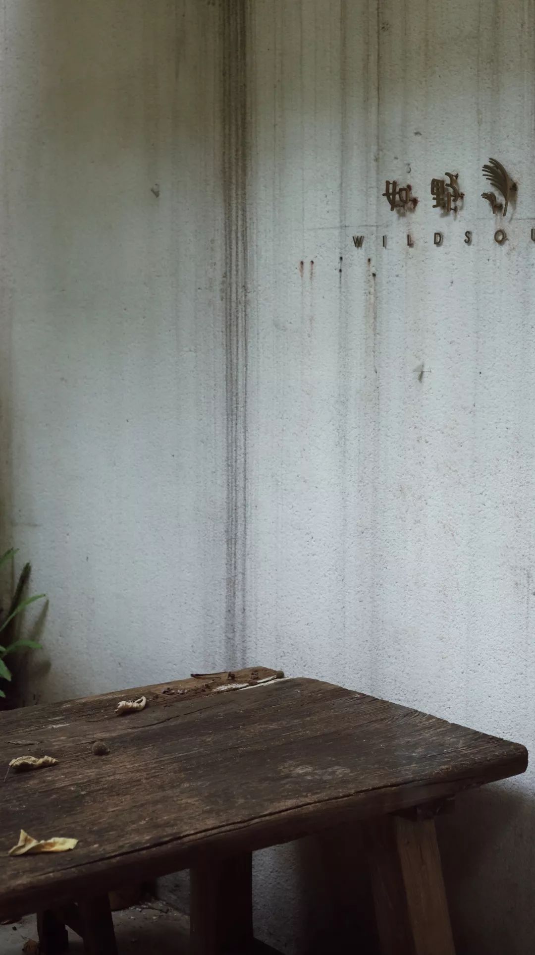 中国精品咖啡城市，长沙的这12家店必须拥有姓名