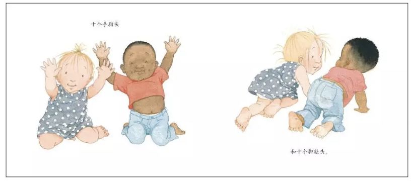 7-10岁数学绘本,数学绘本分享讲解