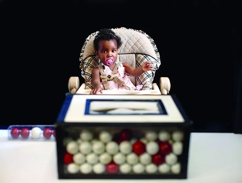 婴儿成长的五大误区,幼儿是天生的科学家正确还是错误