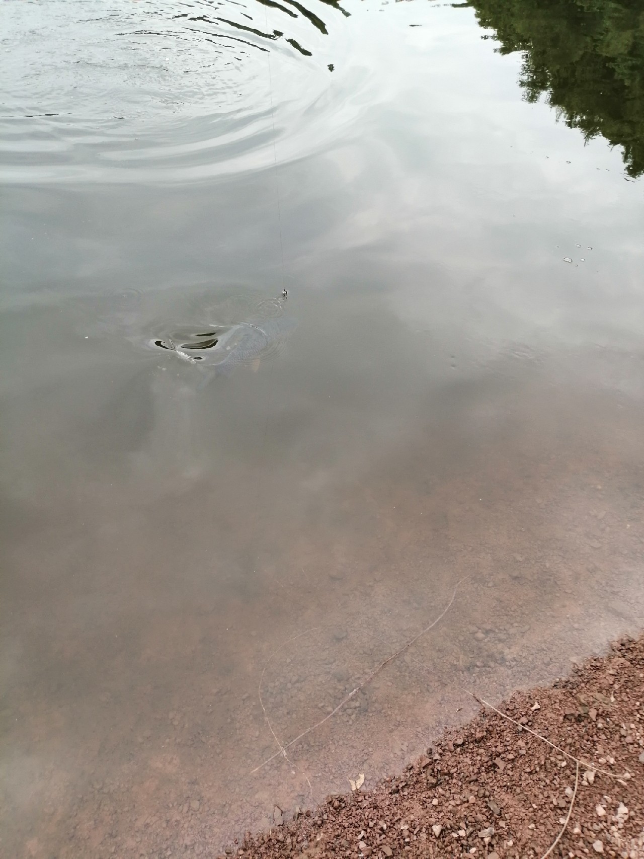 别人对你说钓鱼是什么意思,对于钓鱼各位钓友有什么看法