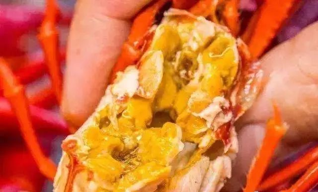 小龙虾头部黄黄的东西要处理吗,小龙虾头上黄黄的东西可以吃吗