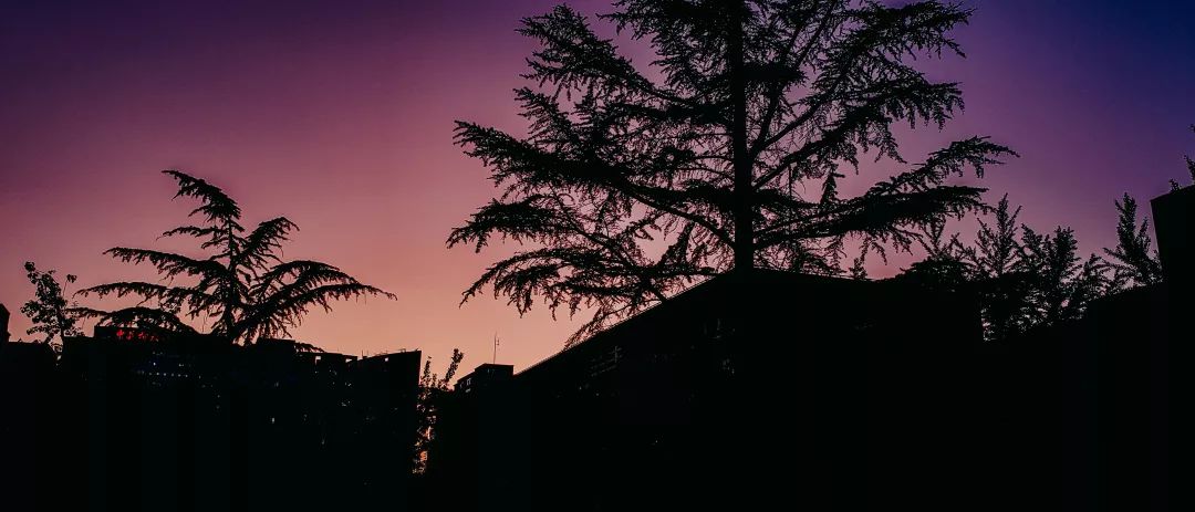 新生入学适应指南,新生入学指南学校视频