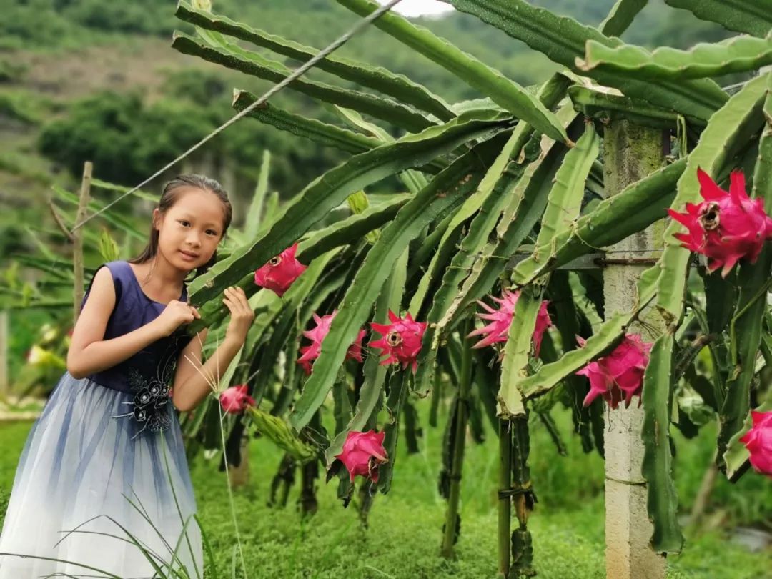 减肥届超热门必备轻食水果，高甜0酸还不发胖，一颗就饱腹