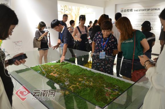 柑橘标本,柑橘博物馆项目