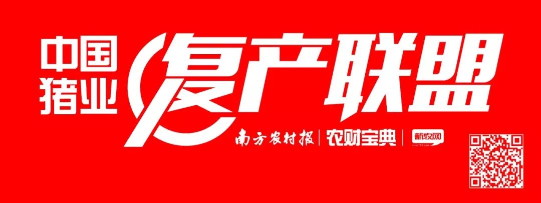 各地保险出新招：养户仅出20%资金即可复产，“观察猪”、饲料价格都能投保了