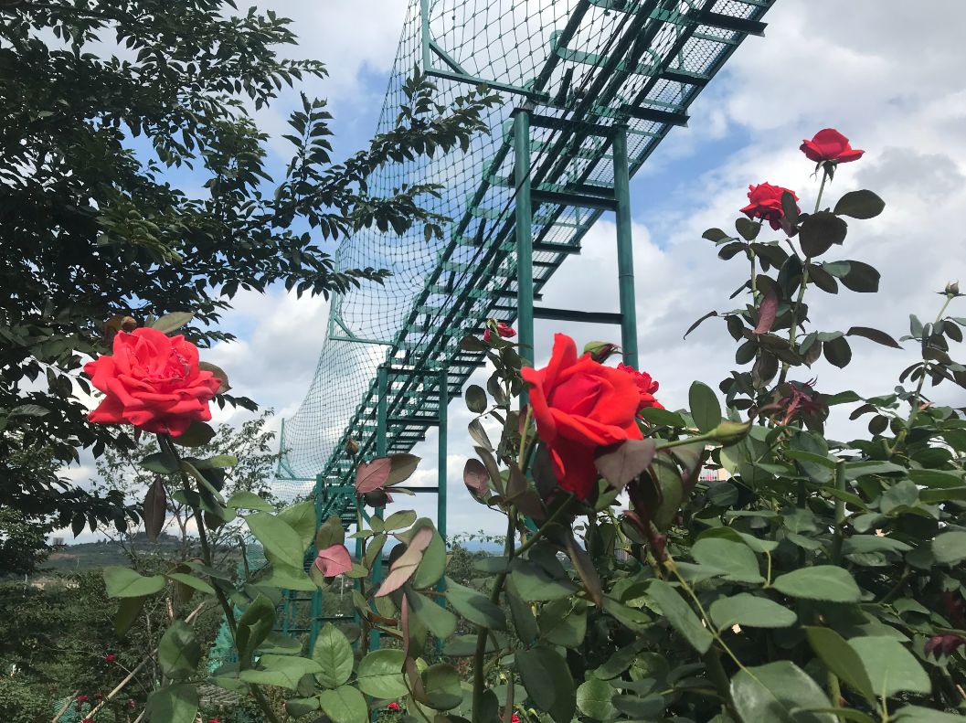 成都周边最好的玻璃栈道的景区,成都附近哪个景区有玻璃栈道