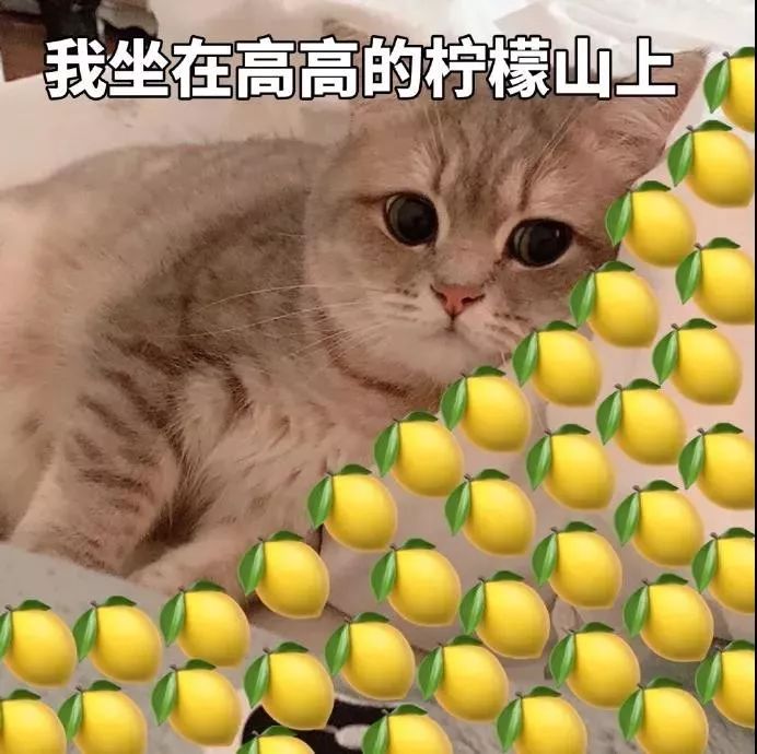 加拿大公务员工资收入,加拿大温哥华公务员年收入