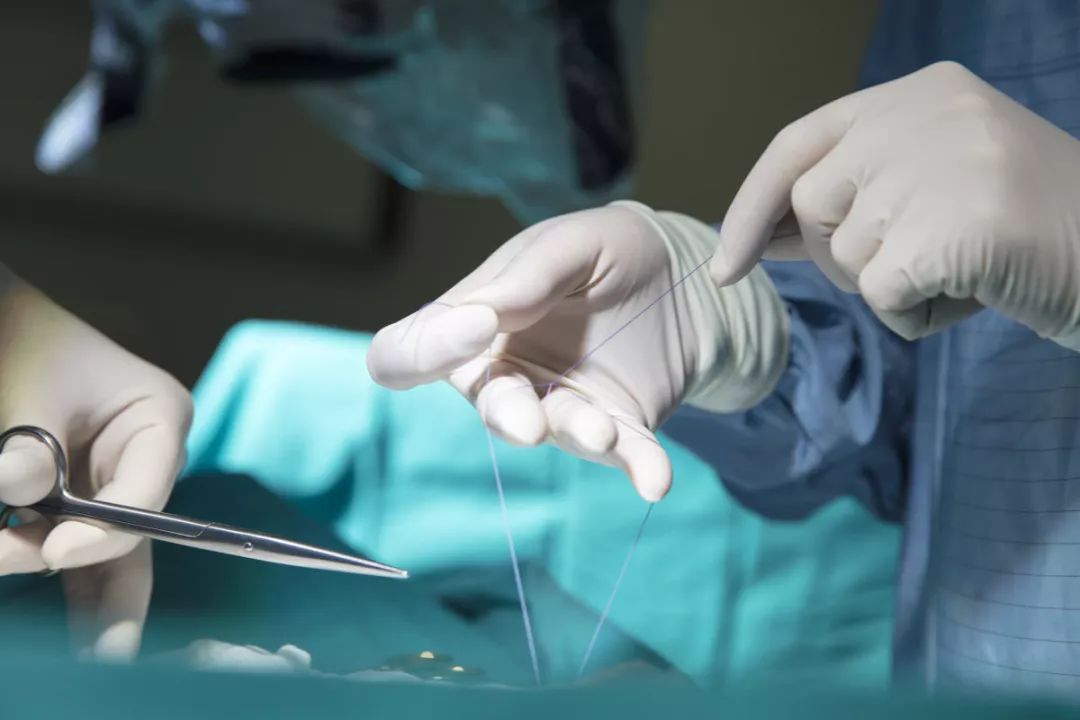 教师节特辑浓情九月师恩似海,教师节特辑