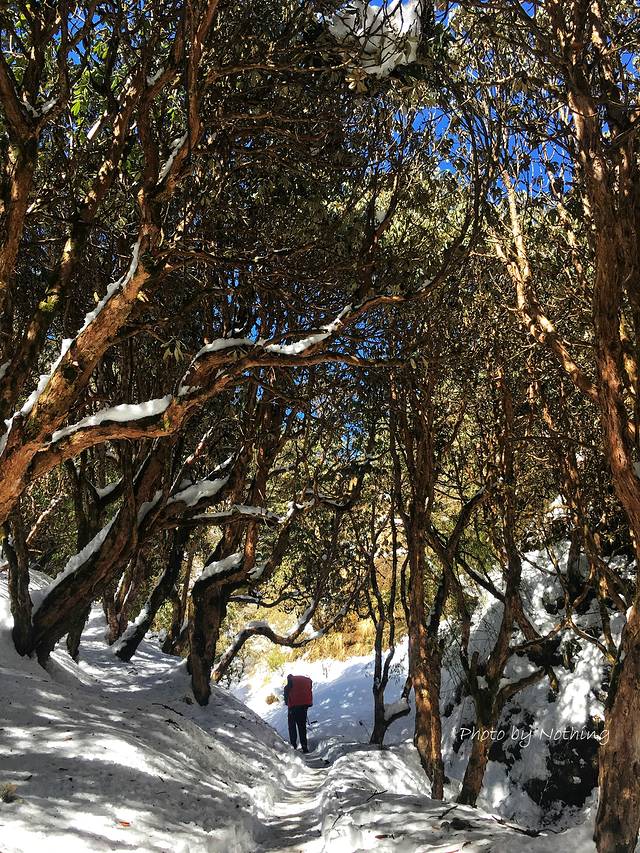 徒步游尼泊尔视频,尼泊尔徒步abc小环线攻略