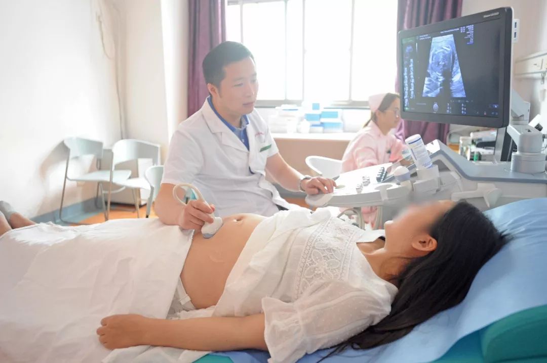 11周nt检查胎儿异常再次复查,nt检查是否可以看到胎儿发育情况