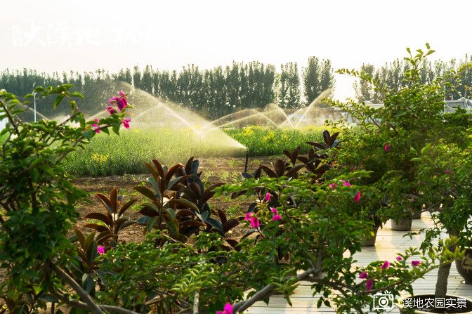 蓝石大溪地的房子值得买吗,蓝石大溪地最新房价