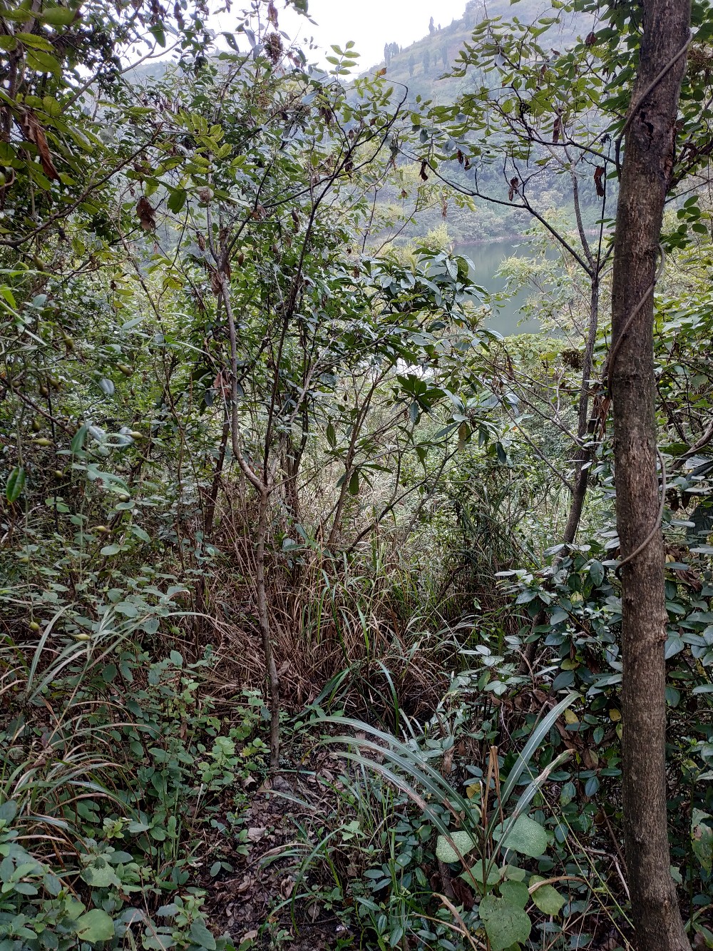 如何把握钓鱼时间,一天钓鱼最好时间段是中午吗