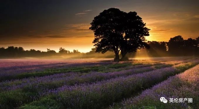 高品质别墅楼盘,稀缺别墅样板间出售