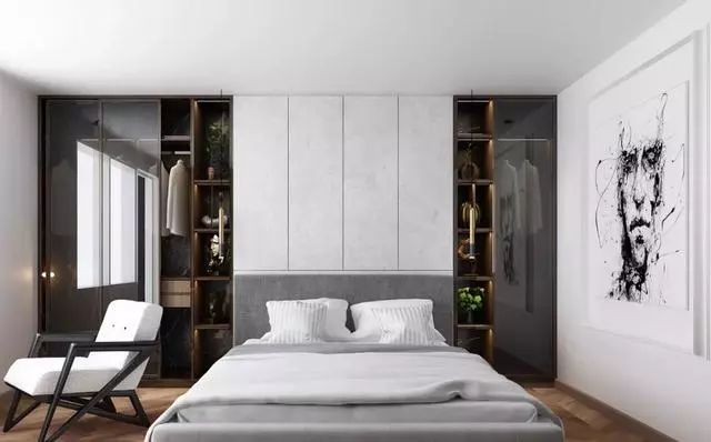 适合年轻人的衣柜玻璃门,最新流行的衣柜极简玻璃门