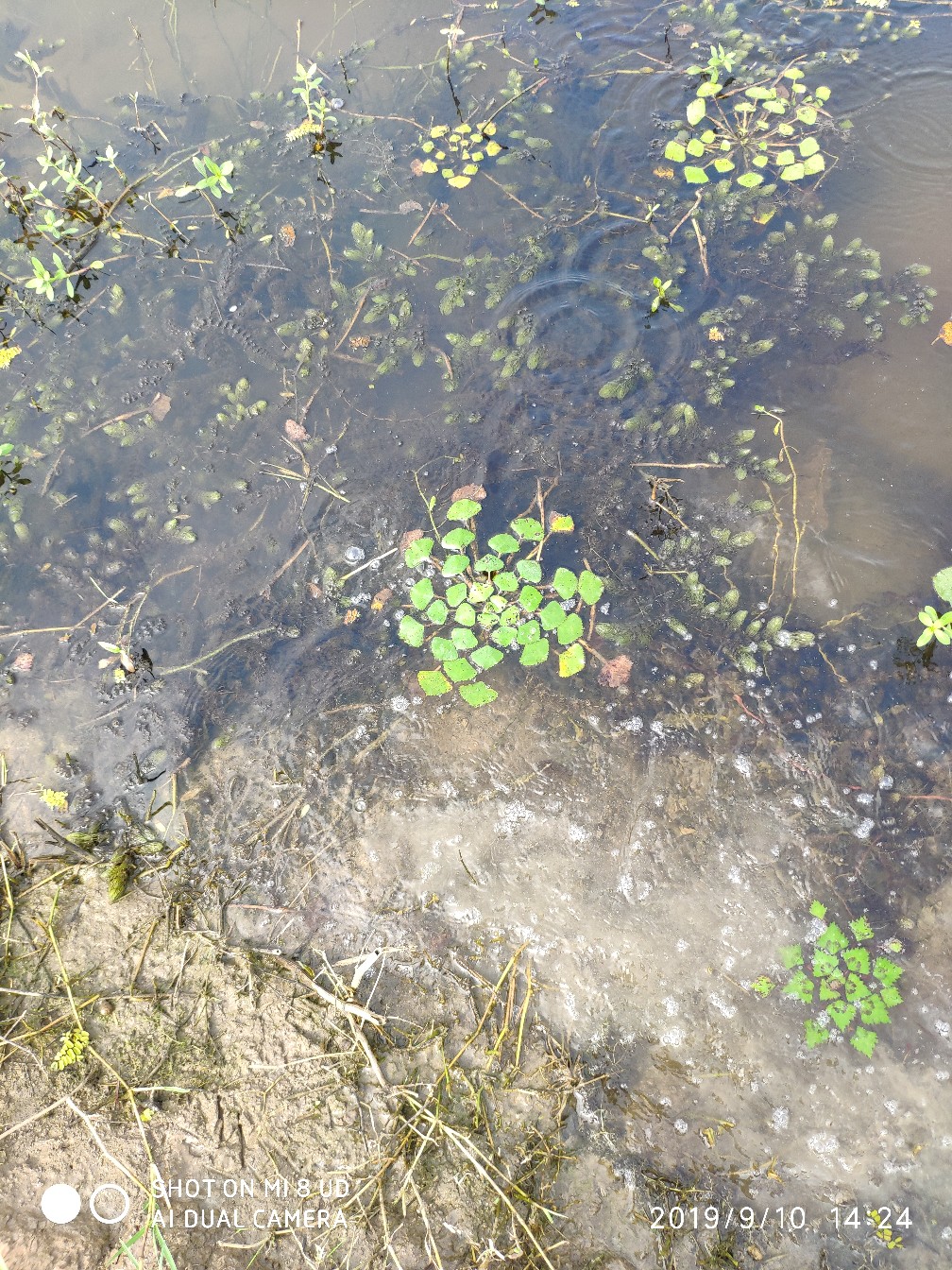 鼓轮经常爆线是什么原因,鼓轮爆线怎么办