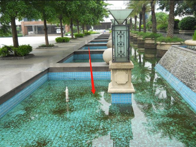 预防登革热时刻在行动,科普清理小积水防控登革热