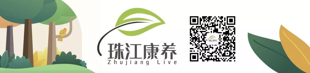 抢不到票加速包有用吗,抢票软件不如手动买票