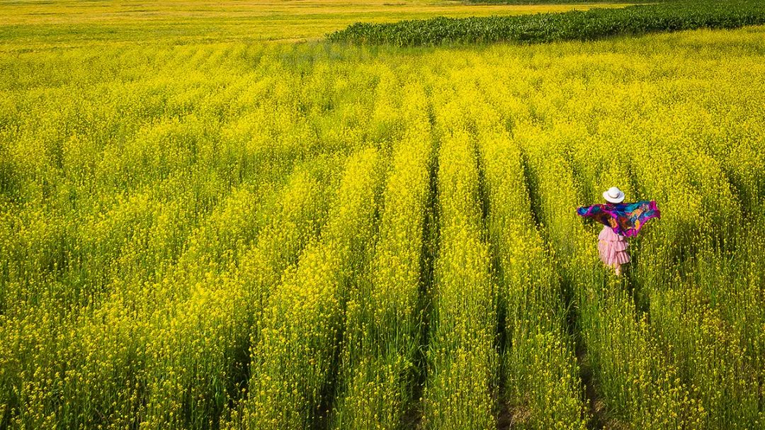 还没离开就开始想念是什么歌词,还没离开就已经开始想念