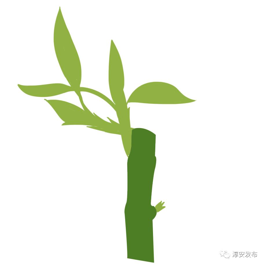 Wow！我们身边竟有2w多“草根才俊”