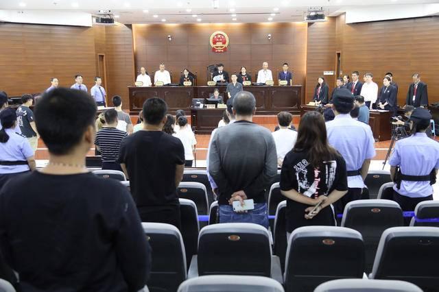 果蔬粉保健品,果蔬粉成本多少钱