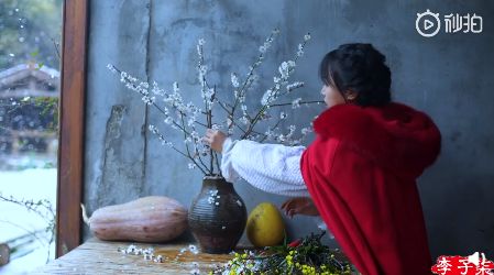 中国最美李子柒,最美村姑李子柒