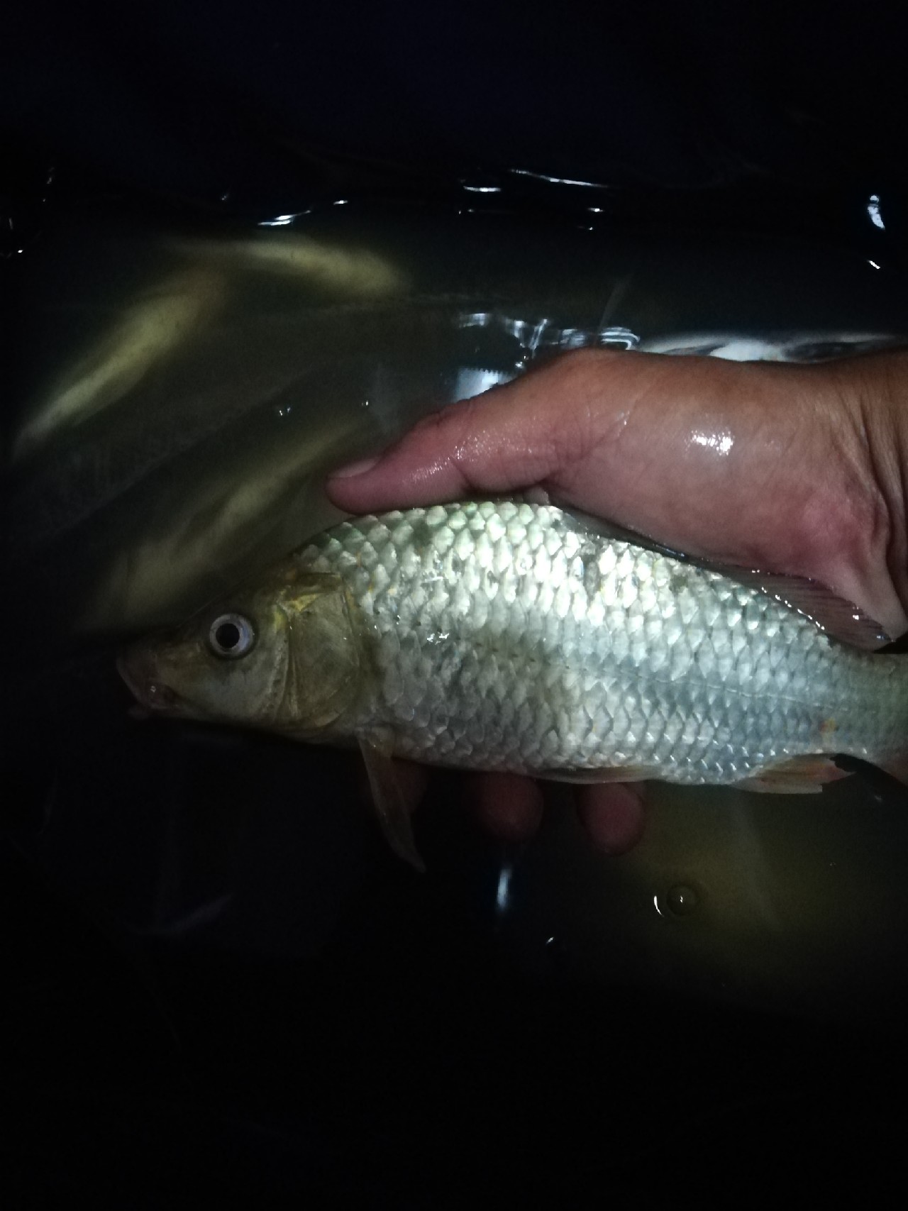 兄弟齐心不轻言放弃排除困难最终得圆满