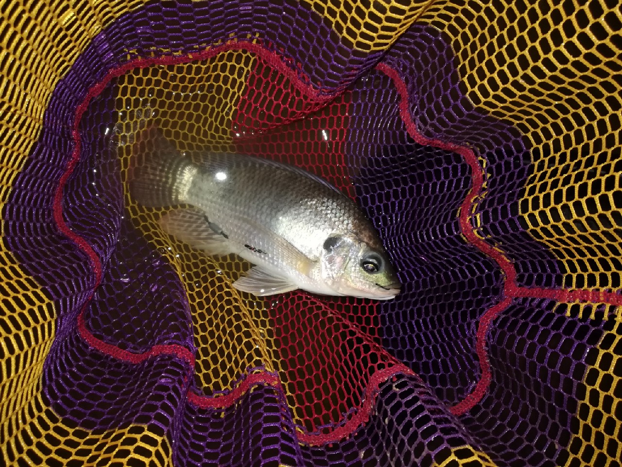 兄弟齐心不轻言放弃排除困难最终得圆满