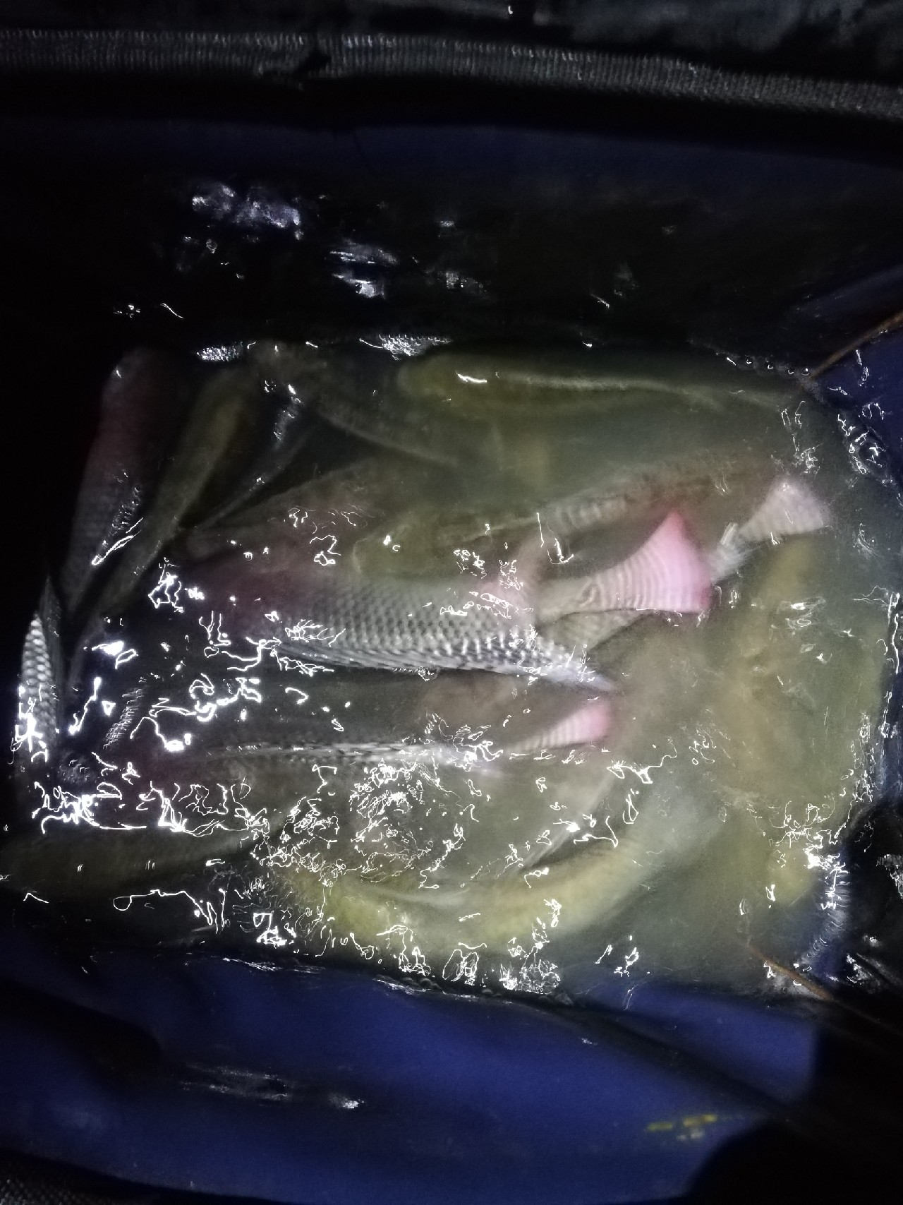 兄弟齐心不轻言放弃排除困难最终得圆满