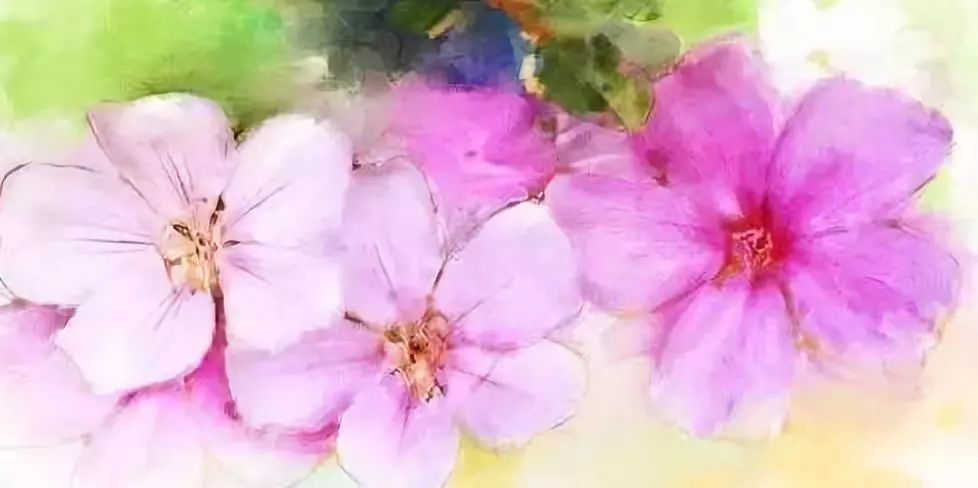 哲理小故事大启发短篇,课堂演讲的哲理小故事大启发