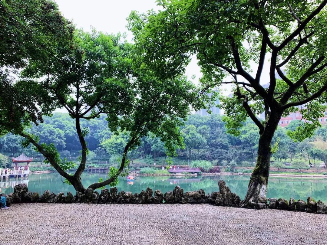 沙坪坝有哪些免费公园,沙坪坝公园推荐