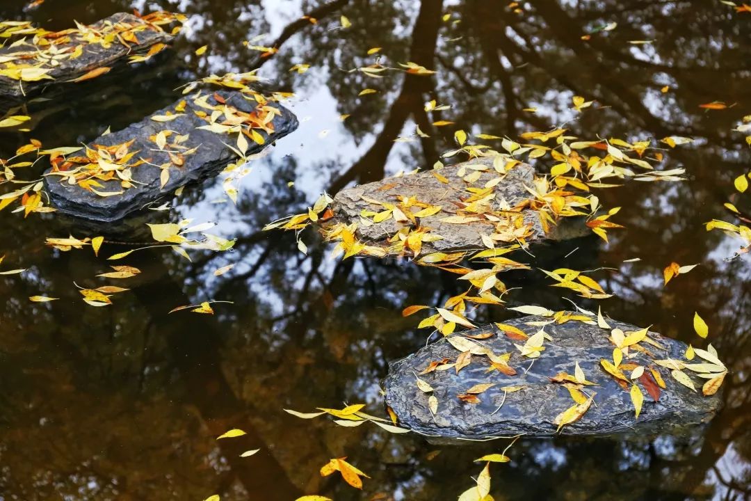 在人大读研究生是什么体验,人大硕士申请