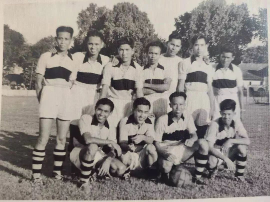 击剑陶金汉,陶金汉击剑