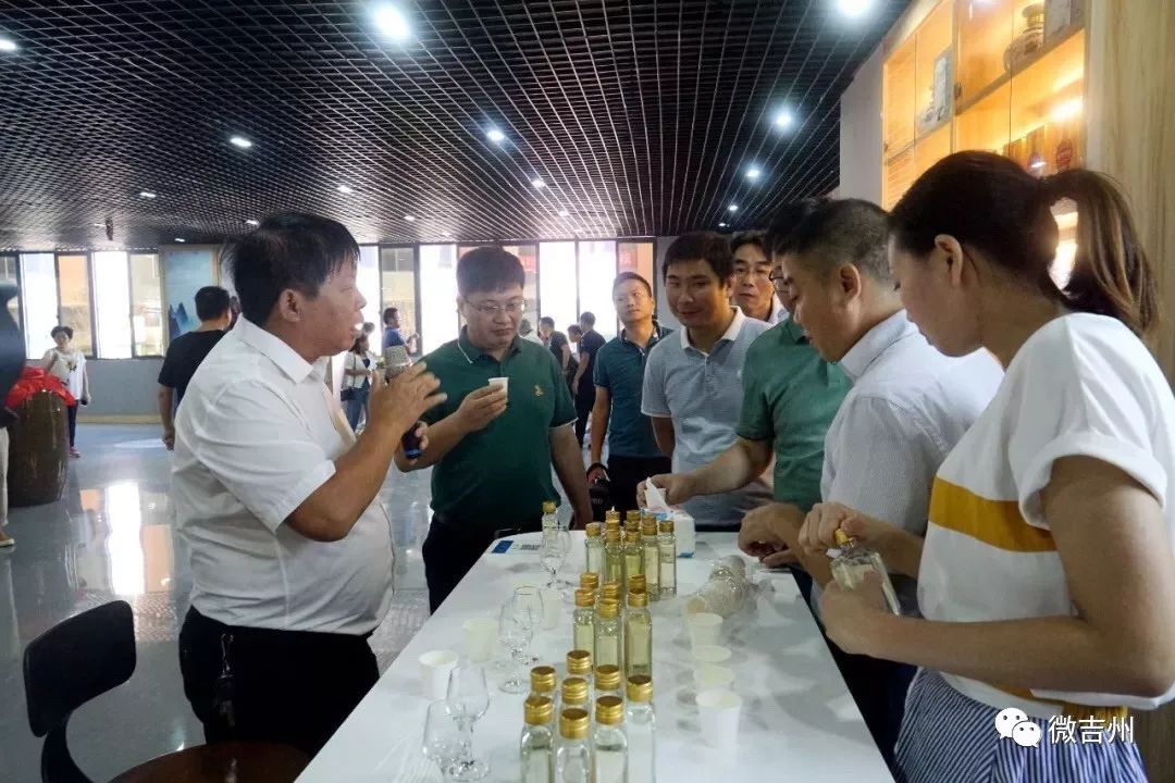 央视聚焦博罗高质量发展,省级主要媒体重磅报道赣江新区