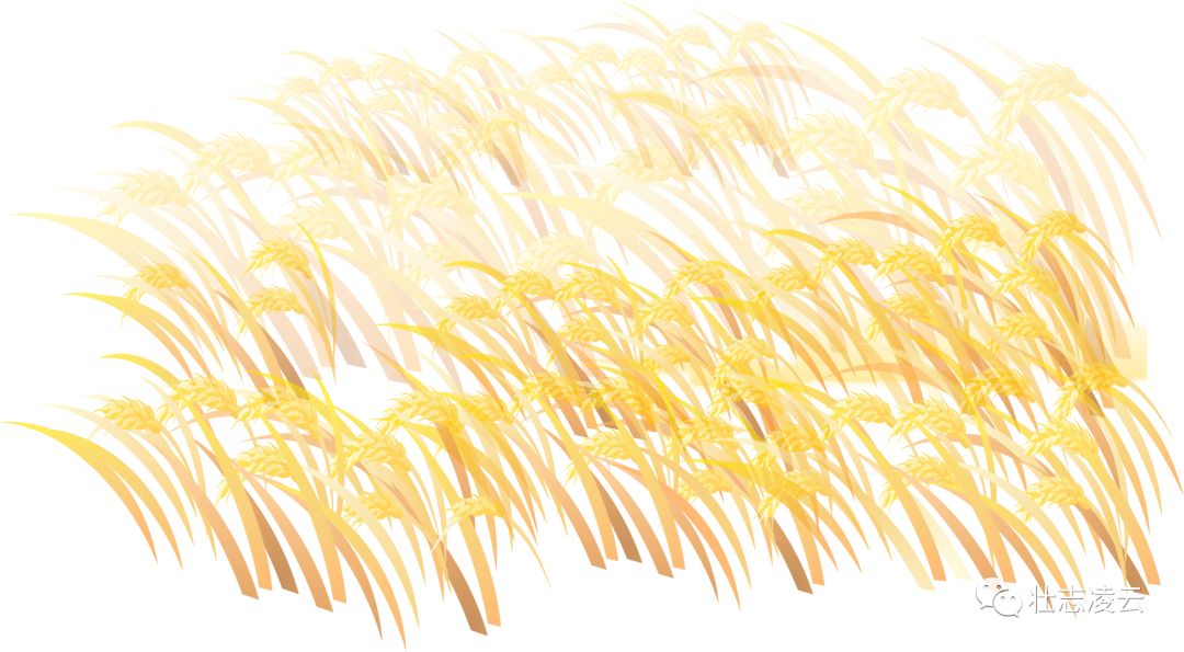 河南贫困家庭出三个大学生,贫困家庭同时考上两个大学生